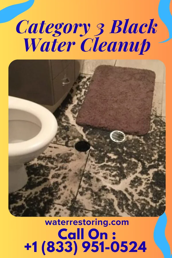Category 3 Black Water Cleanup in Granville, WV