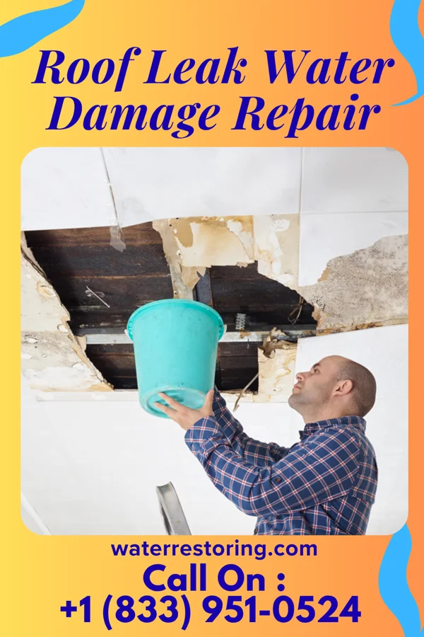 Roof Leak Water Damage Repair in Granville, WV