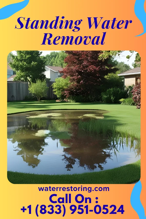 Standing Water Removal in Granville, WV